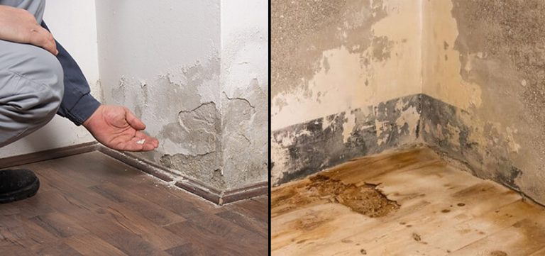 Water Damage And Mold